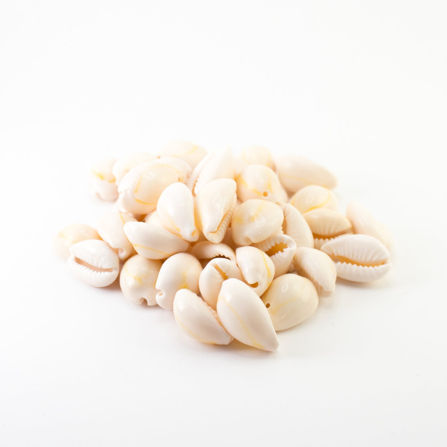 Cowrie Shells